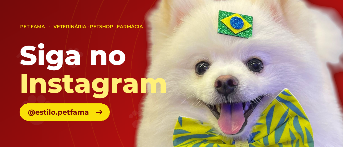 Siga no Instagram