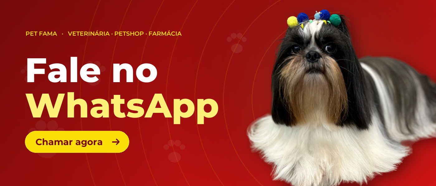 Fale no WhatsApp